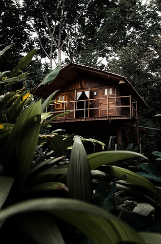 Casas de madera para el futuro